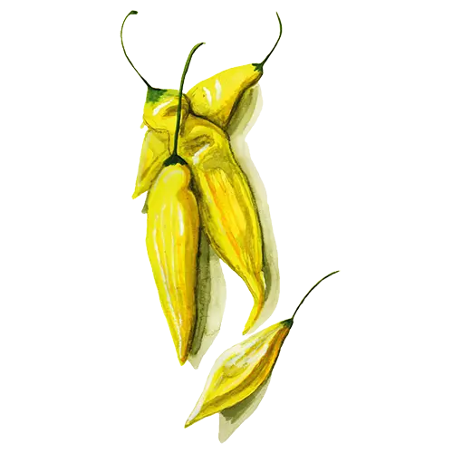 Chili Hot Lemon