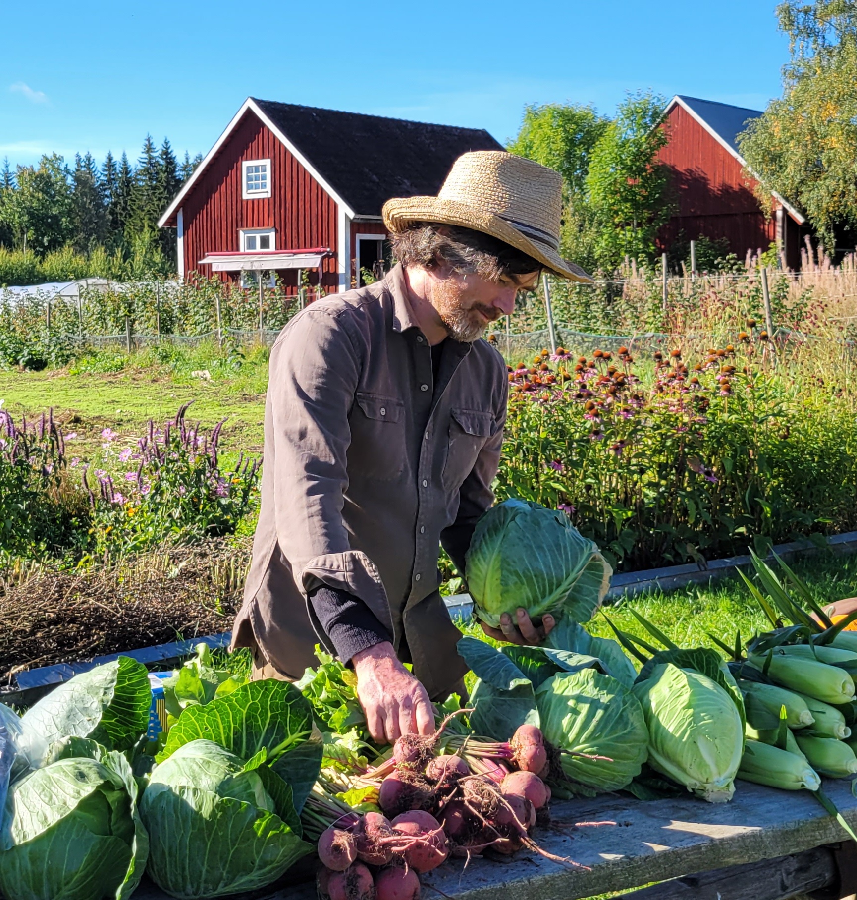 Joe i Tolg, Växjö