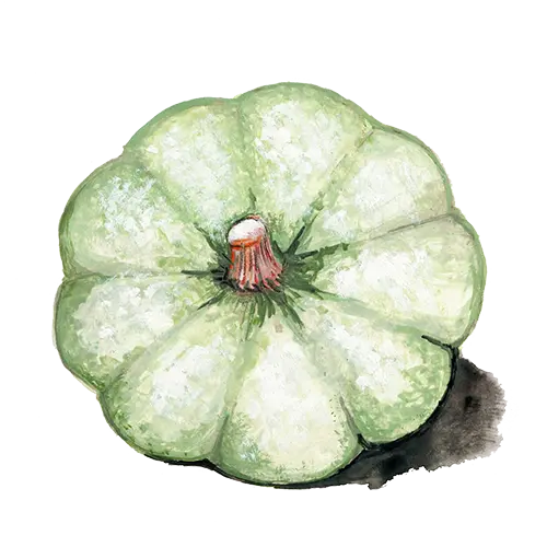 Vintersquash Kroshka