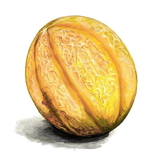 Melon Sweet Granite